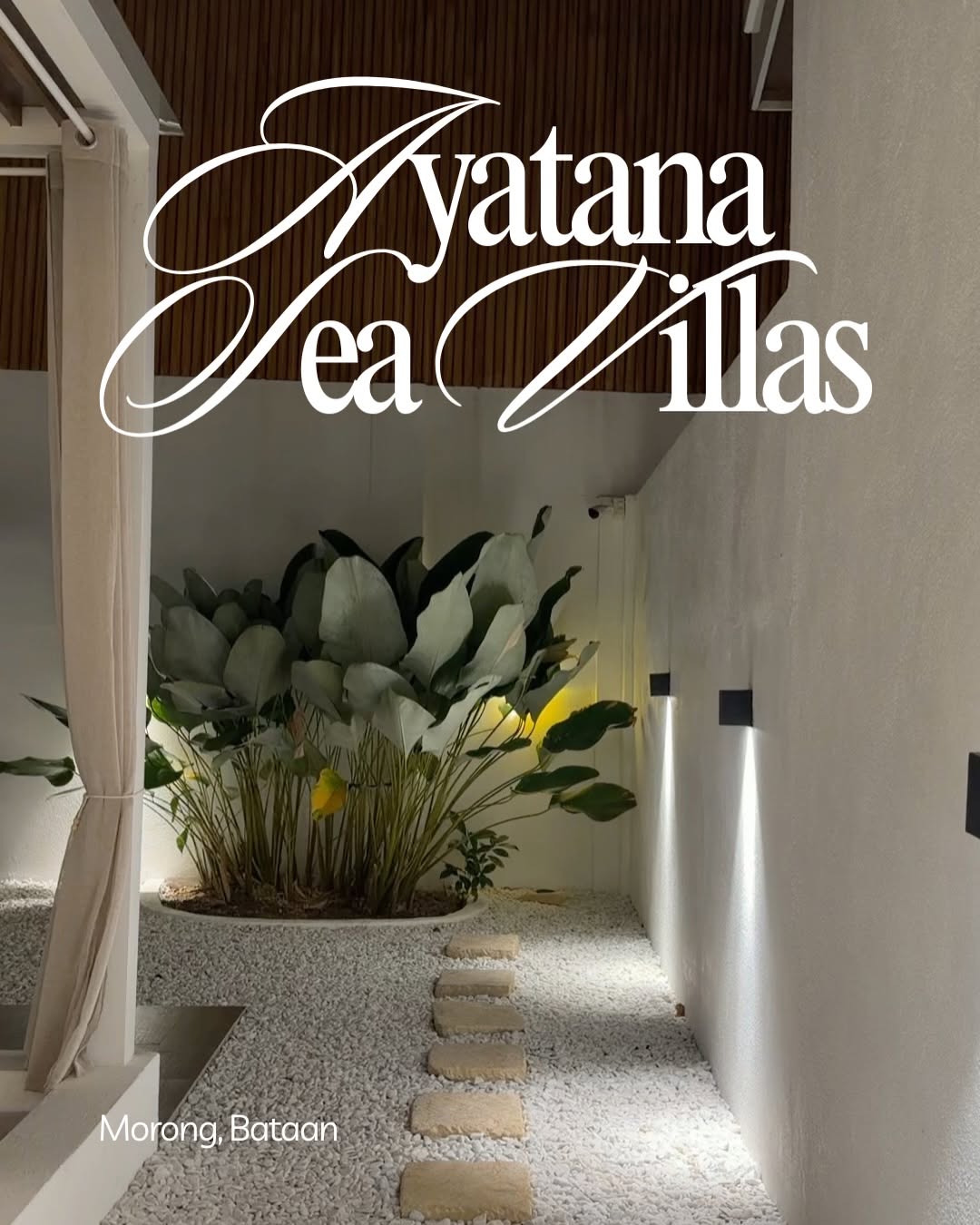 Tropical garden pathway — white pebbles, stepping stones, lush plants, and warm evening light